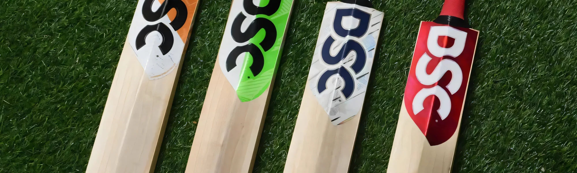 DSC Cricket Gear