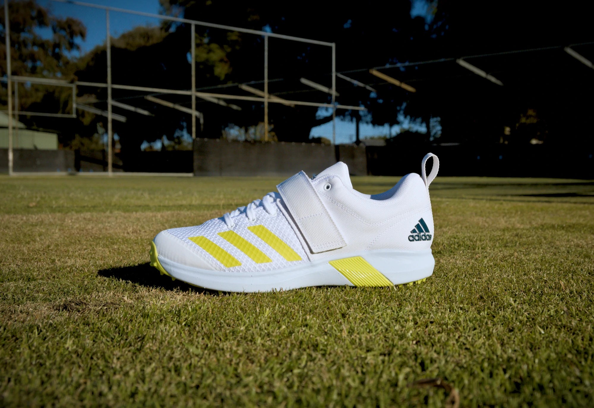 All Rounder Cricket Shoes