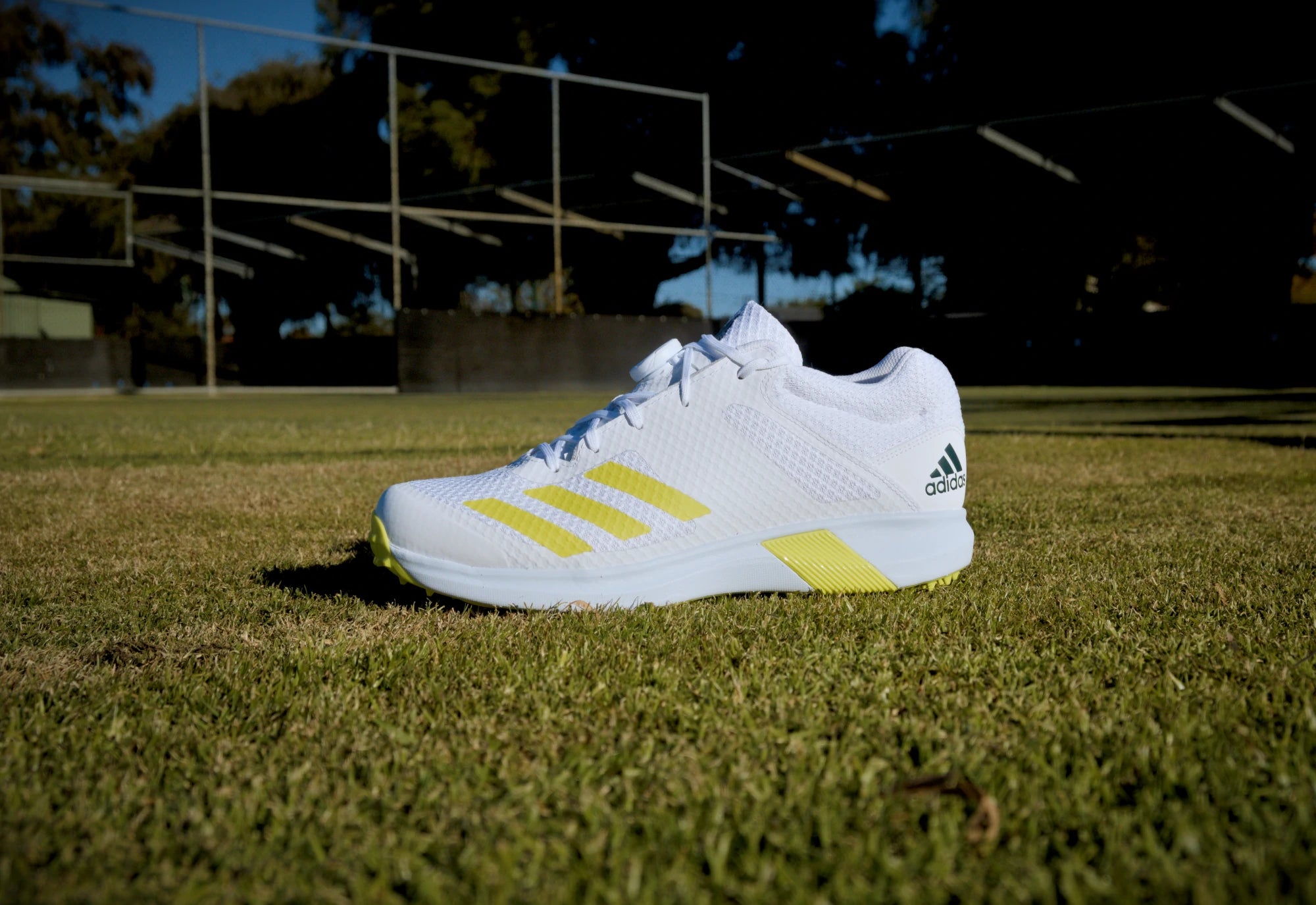 Fast Bowling Cricket Shoes