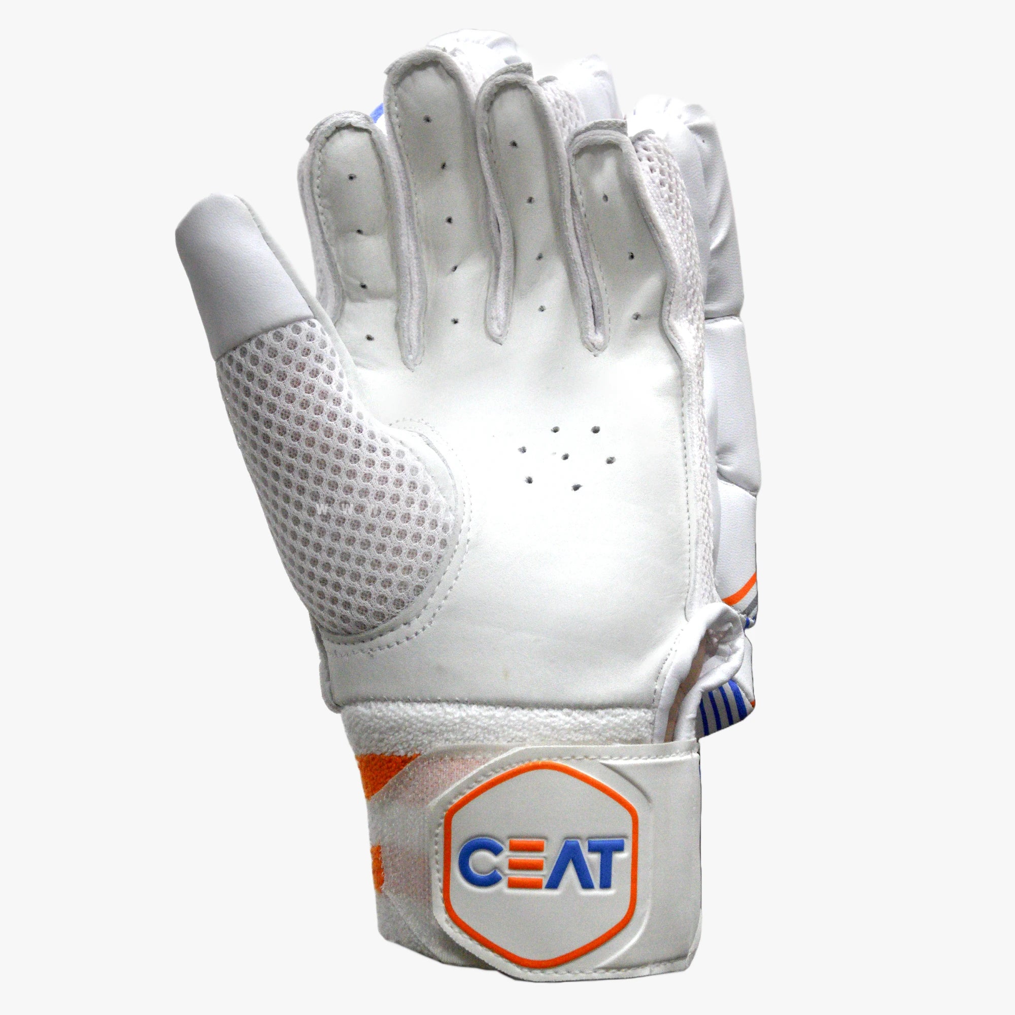 CEAT Gripp Master Cricket Batting Gloves - ADULT