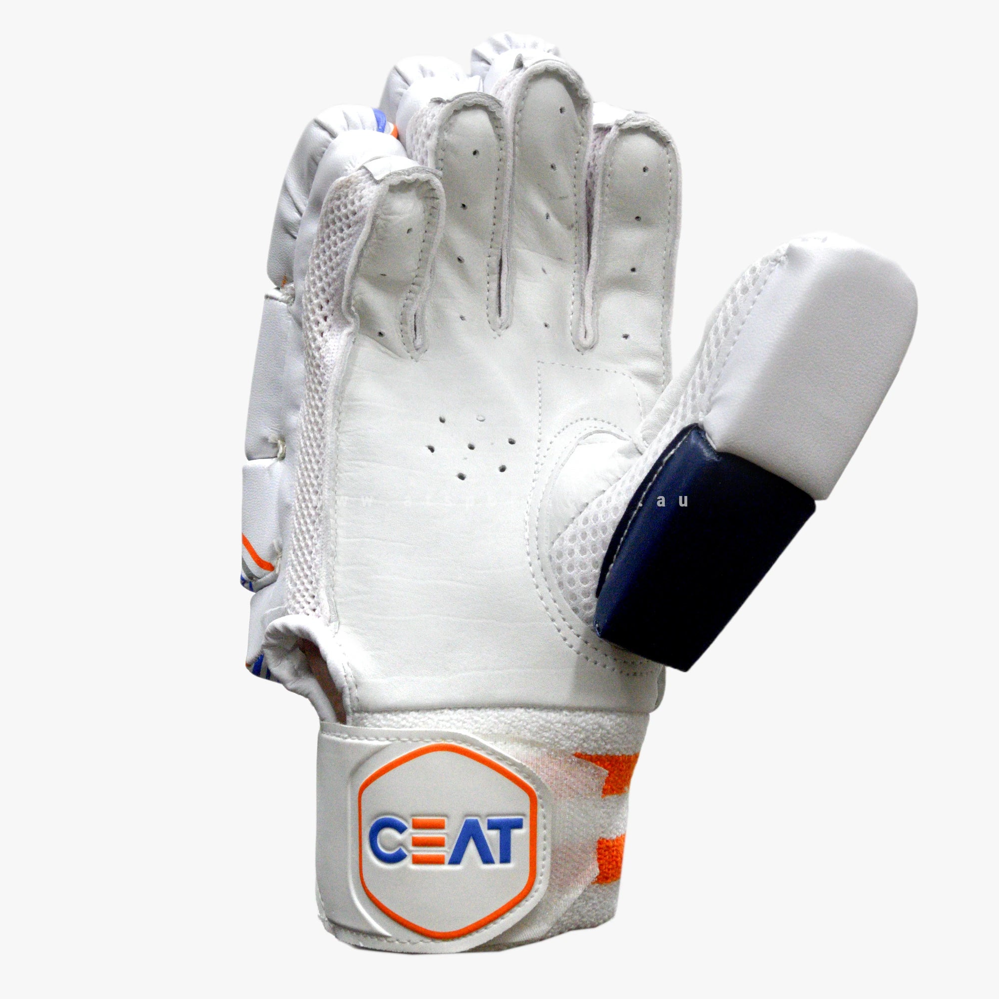 CEAT Gripp Master Cricket Batting Gloves - ADULT