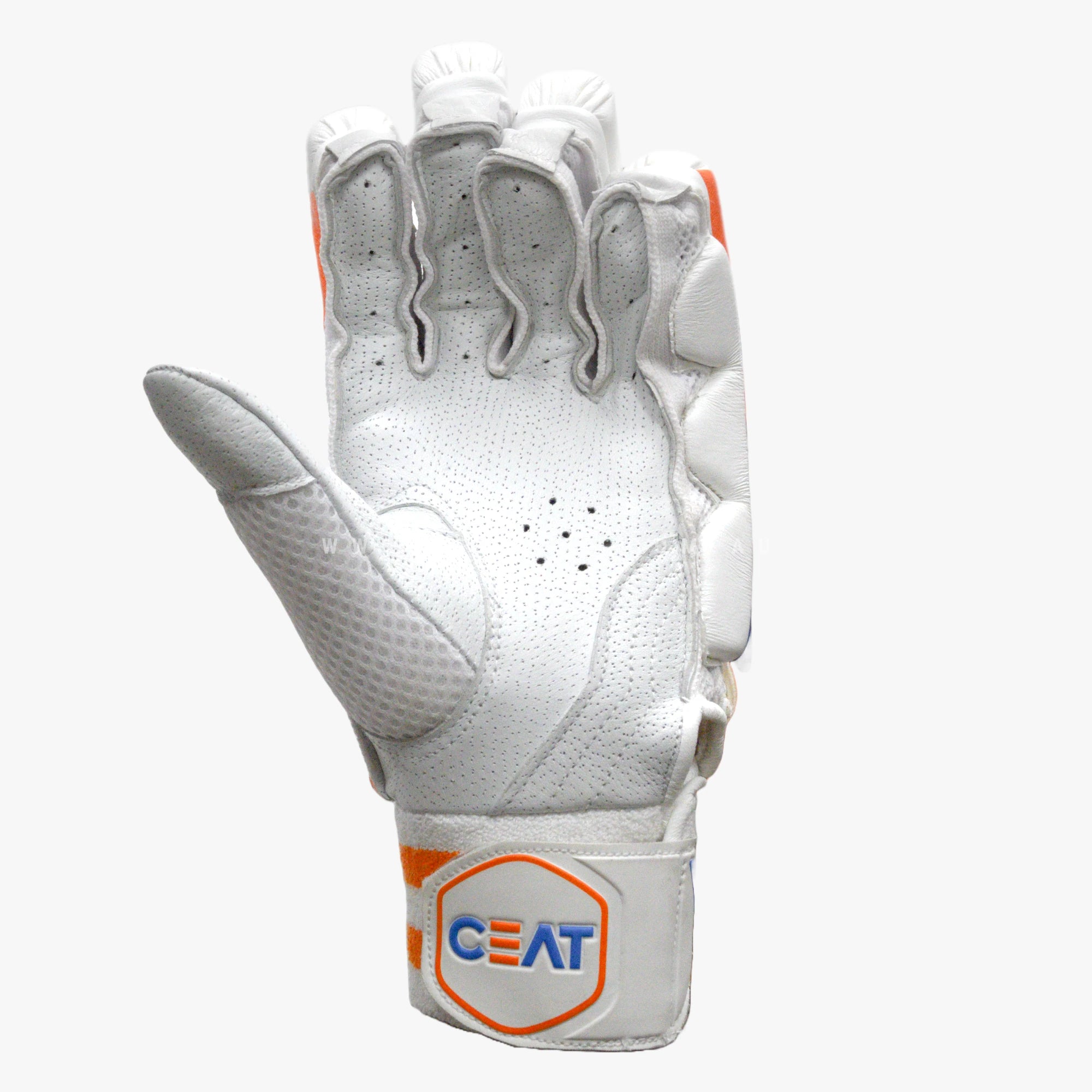 CEAT Gripp Star Cricket Batting Gloves - ADULT